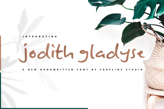 Jodith gladyse - 50% OFF Font Fadeline Std. 