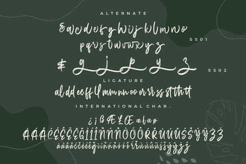 Judthing Handbrush Typeface Font Creatype Studio 