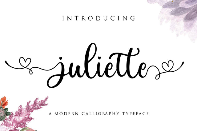 juliette script Font Anastasia 