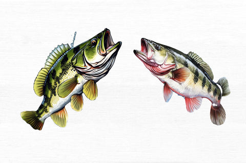 Jumping Bass Fishing Sublimation Clipart Sublimation Regulrcrative 