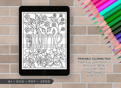 June Month Printable Coloring Page Bundle, PDF Colouring Book, Instant Download, CBP00016 SVG ETC Craft 