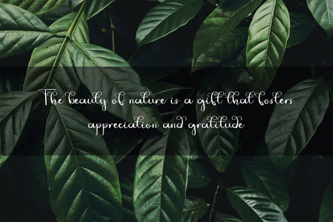 Jungle Font Erik Studio 