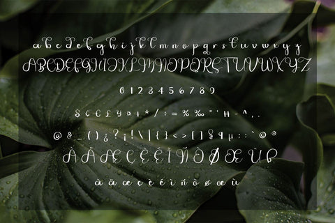 Jungle Font Erik Studio 