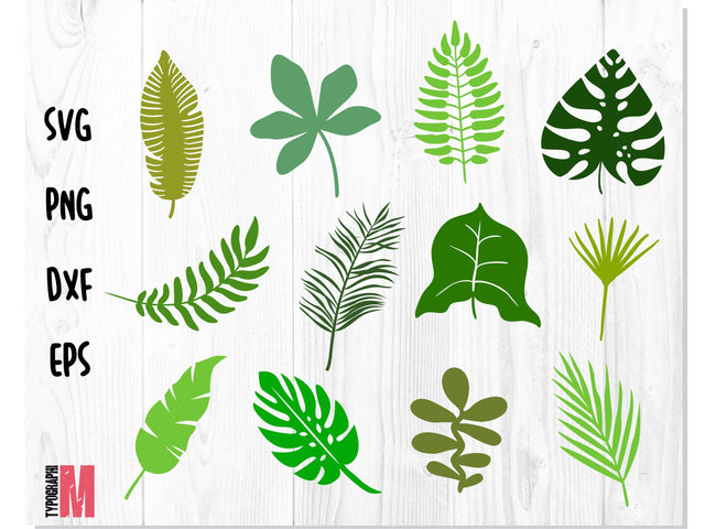 Jungle Leaves Tropical SVG SVG CreativeStudioTM 