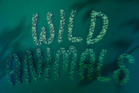 Jungle Leopard Font Prasetya Letter 