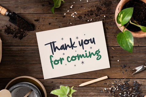 Jungledise Font Allouse.Studio 