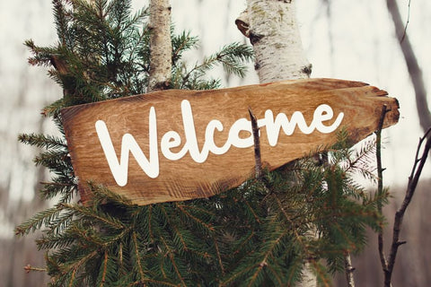 Jungledise Font Allouse.Studio 