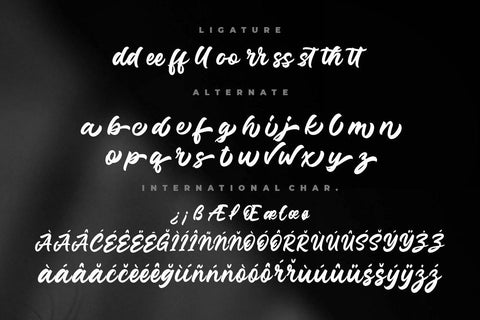 Junkies Style Bold Script Font Creatype Studio 