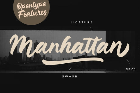 Junkies Style Bold Script Font Creatype Studio 