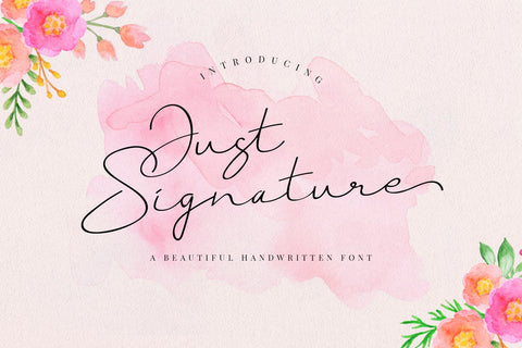 Just Signature Script Font Creatype Studio 