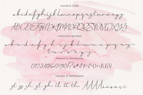 Just Signature Script Font Creatype Studio 