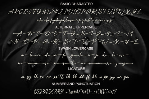 Kaliurang Signature Font Afandi Studio 