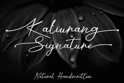 Kaliurang Signature Font Afandi Studio 