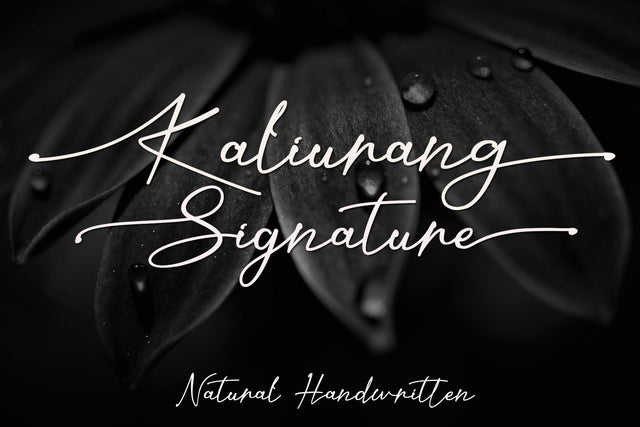 Kaliurang Signature Font Afandi Studio 