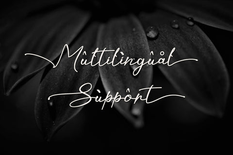 Kaliurang Signature Font Afandi Studio 