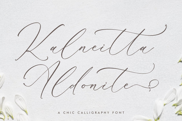 Kalneitta Aldonite - Chic Calligraphy Font Font Storytype Studio 