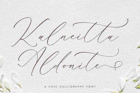 Kalneitta Aldonite - Chic Calligraphy Font Font Storytype Studio 