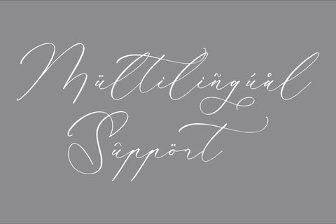 Kalneitta Aldonite - Chic Calligraphy Font Font Storytype Studio 