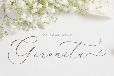 Kalneitta Aldonite - Chic Calligraphy Font Font Storytype Studio 