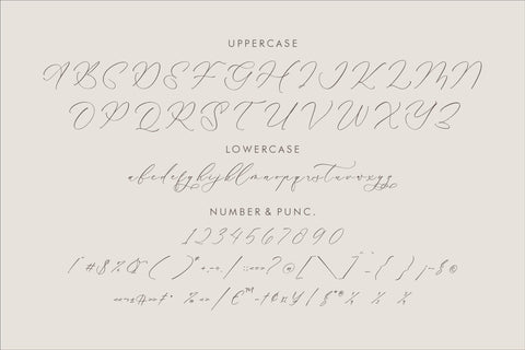 Kalneitta Aldonite - Chic Calligraphy Font Font Storytype Studio 