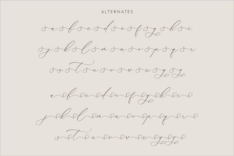 Kalneitta Aldonite - Chic Calligraphy Font Font Storytype Studio 