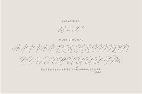 Kalneitta Aldonite - Chic Calligraphy Font Font Storytype Studio 