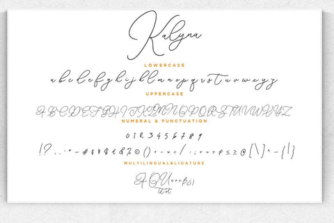 Kalyna Signature Handwriting Font Creatype Studio 