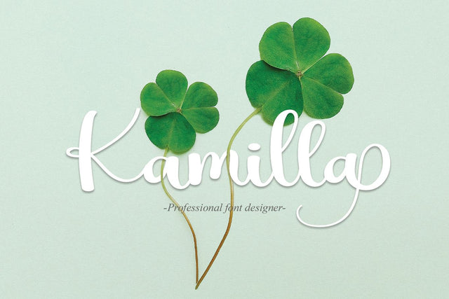 Kamilla Font Erik Studio 