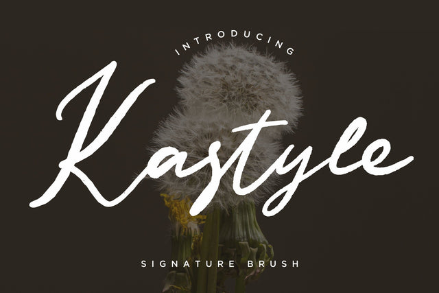 Kastyle Signature Brush Font Creatype Studio 