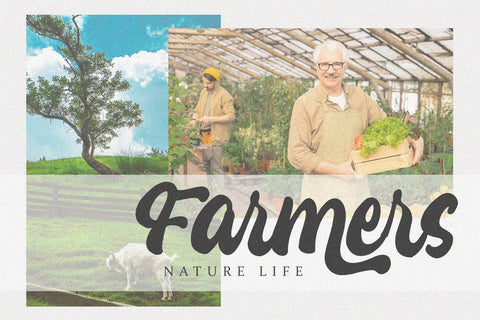 Katracy - Bold Script Font Font Alpaprana Studio 