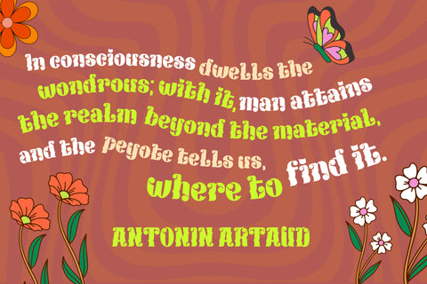 KEXINU | Groovy Retro Font Font twinletter 