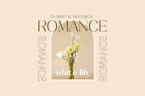 Keystone - an elegant sans Font Javapep 