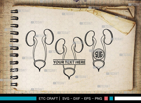 Kidney Monogram, Kidney Silhouette, Kidney SVG, Kidney Anatomy Svg, Urinary Svg, Doctors Svg, Kidney Bundle, SB00149 SVG ETC Craft 