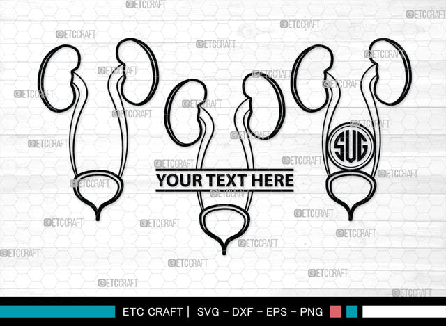 Kidney Monogram, Kidney Silhouette, Kidney SVG, Kidney Anatomy Svg, Urinary Svg, Doctors Svg, Kidney Bundle, SB00149 SVG ETC Craft 