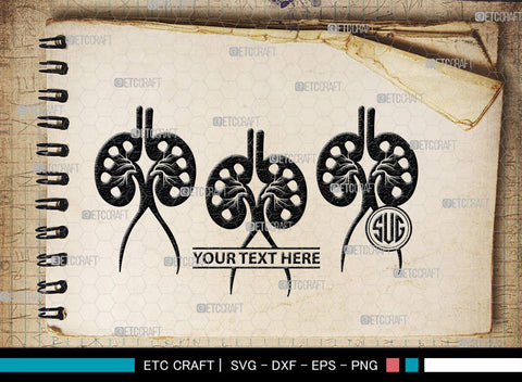 Kidney Monogram, Kidney Silhouette, Kidney SVG, Kidney Anatomy Svg, Urinary Svg, Doctors Svg, Kidney Bundle, SB00149 SVG ETC Craft 