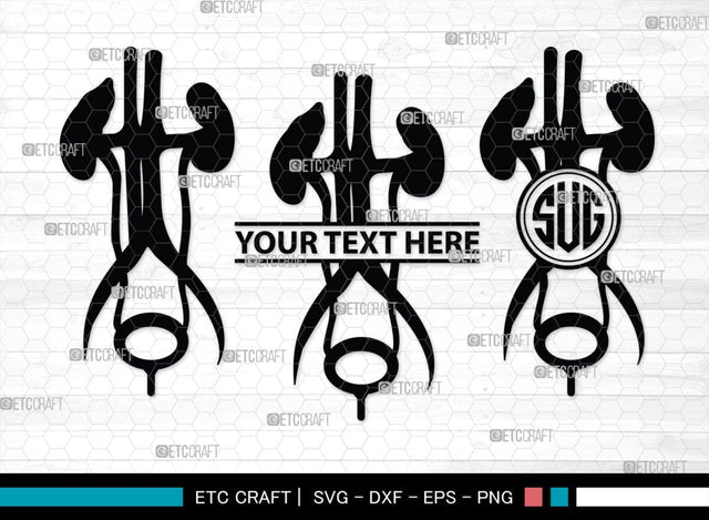 Kidney Monogram, Kidney Silhouette, Kidney SVG, Kidney Anatomy Svg, Urinary Svg, Doctors Svg, Kidney Bundle, SB00149 SVG ETC Craft 
