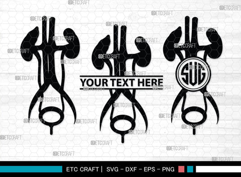 Kidney Monogram, Kidney Silhouette, Kidney SVG, Kidney Anatomy Svg, Urinary Svg, Doctors Svg, Kidney Bundle, SB00149 SVG ETC Craft 
