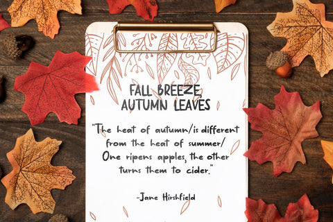 Kikyo Font Allouse.Studio 