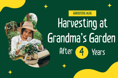 KILUTZ | Summer San Serif Display Font twinletter 