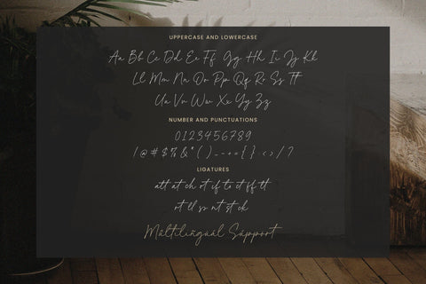 Kimberly Paradise - monoline font Font Timur type 