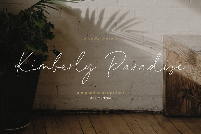 Kimberly Paradise - monoline font Font Timur type 