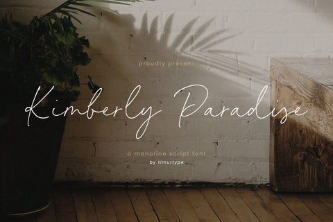 Kimberly Paradise - monoline font Font Timur type 