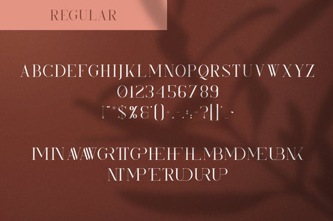 Kindel - Serif Typeface | 4 styles Font VPcreativeshop 