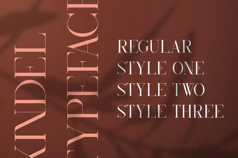 Kindel - Serif Typeface | 4 styles Font VPcreativeshop 