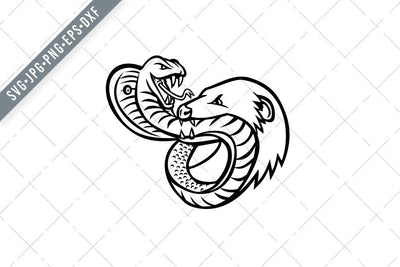King Cobra Snake and Mongoose Fighting Biting and Attacking Mascot Retro Black and White SVG Patrimonio Designs Limited 