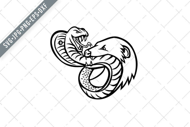 King Cobra Snake and Mongoose Fighting Biting and Attacking Mascot Retro Black and White SVG Patrimonio Designs Limited 