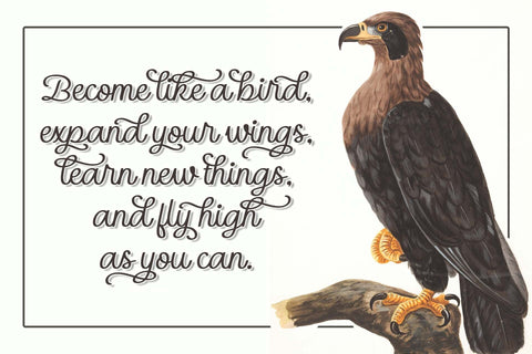 Kingbird Font love script 