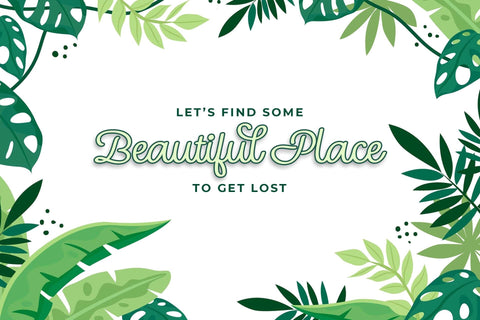 Kingbird Font love script 