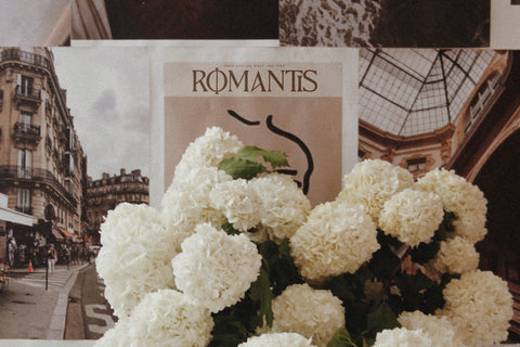 Kingston Roman Typeface Font Storytype Studio 