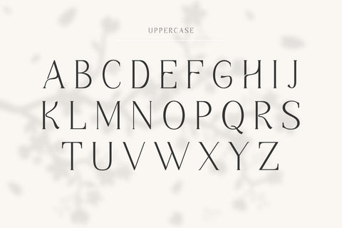 Kingstone Font Madatype Studio 